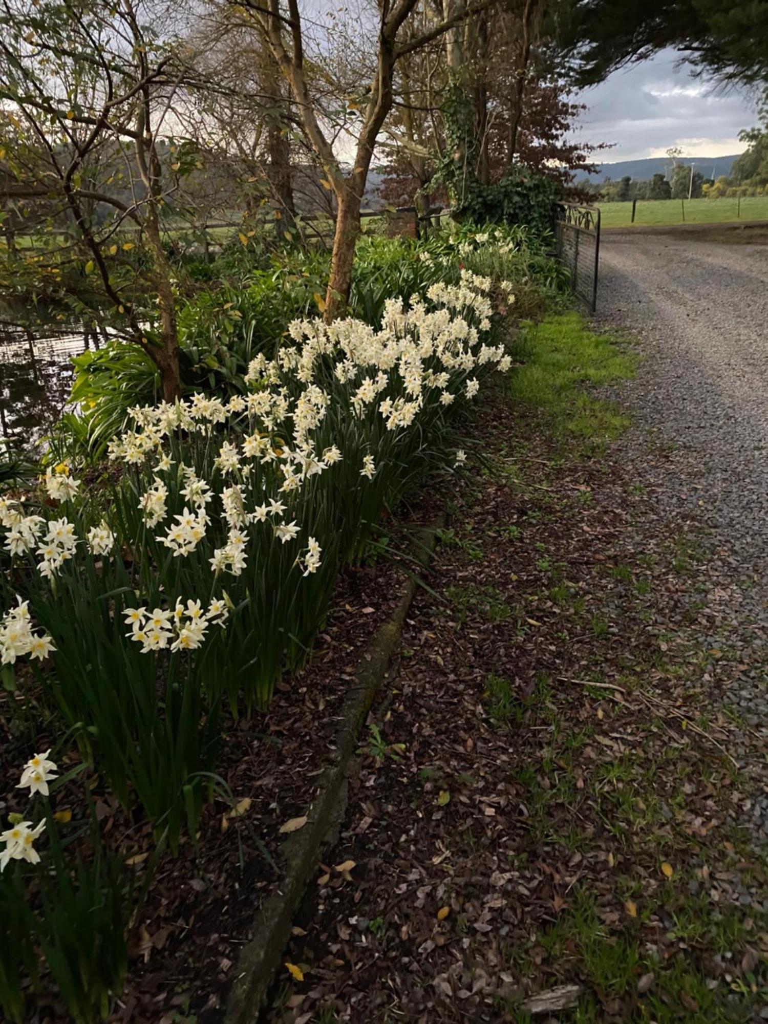 Holly Lane Mews Motel Yarra Glen Exterior photo
