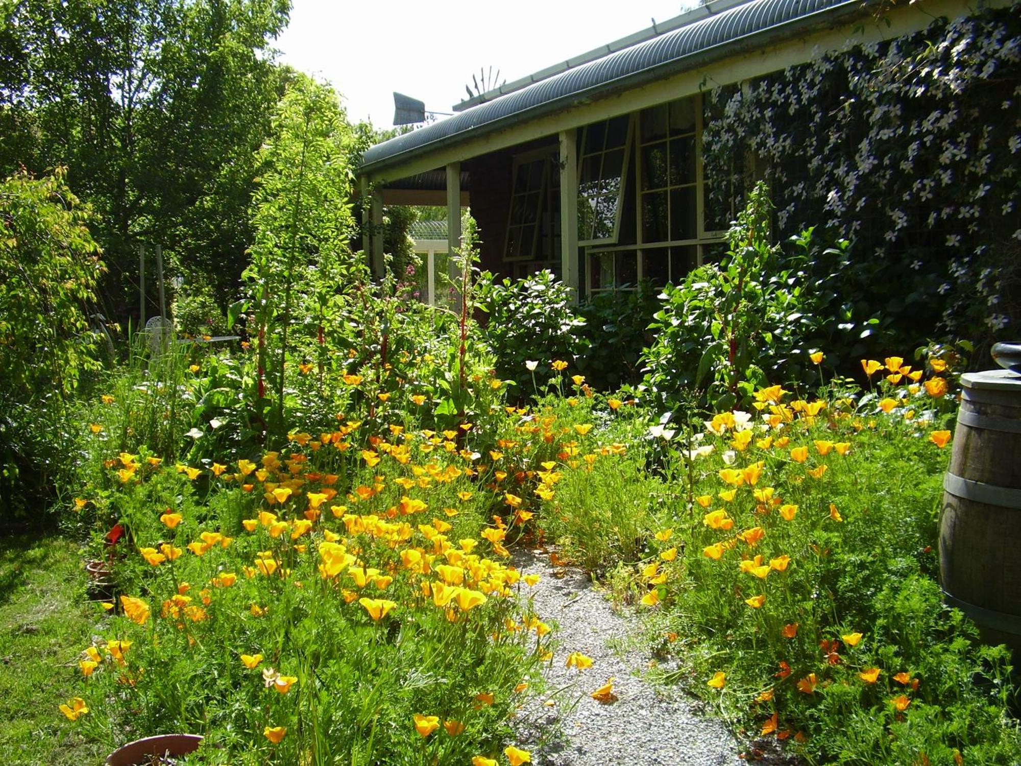 Holly Lane Mews Motel Yarra Glen Exterior photo