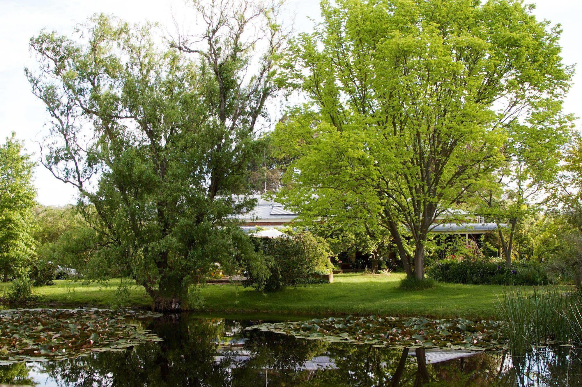 Holly Lane Mews Motel Yarra Glen Exterior photo