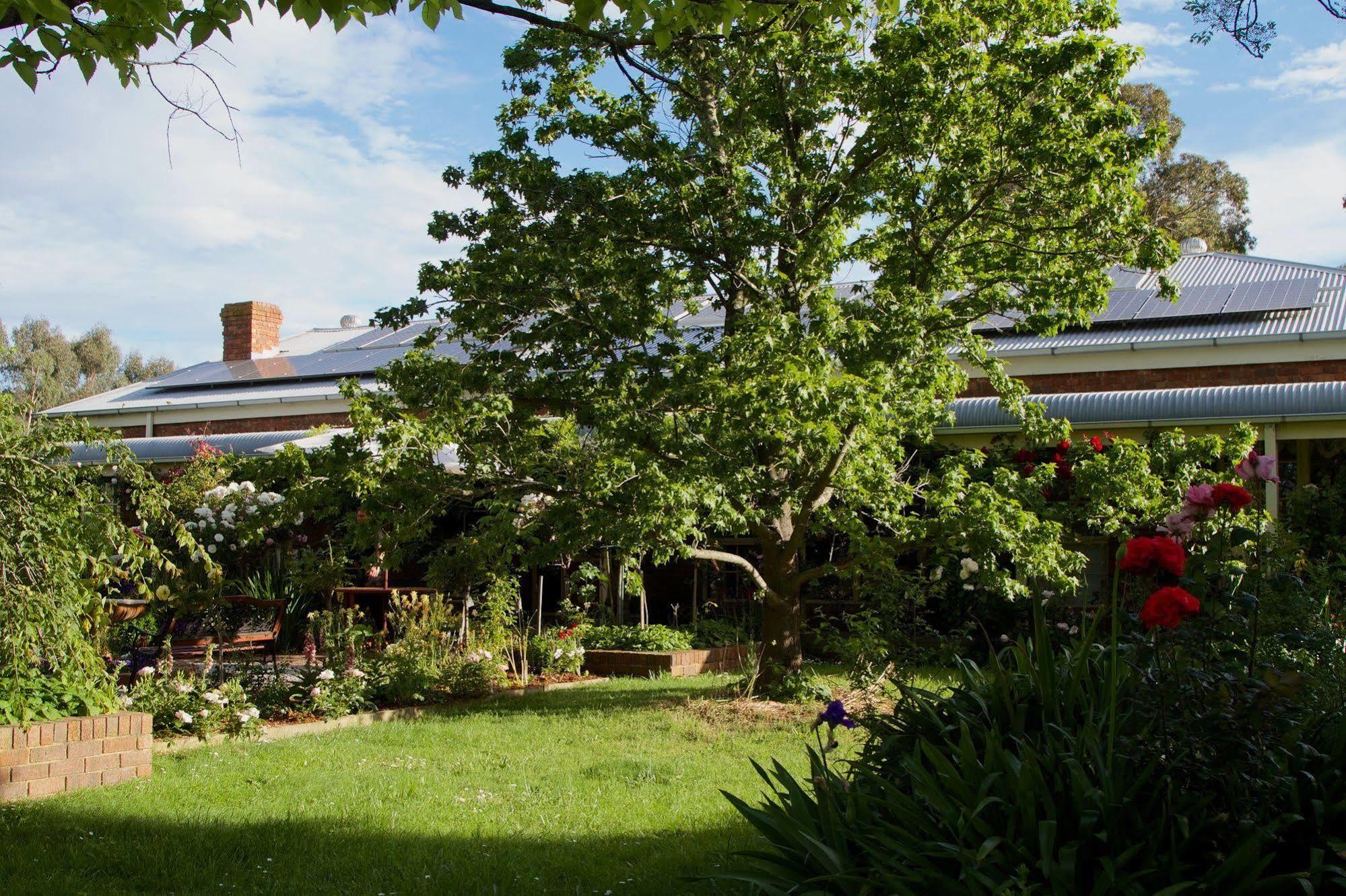 Holly Lane Mews Motel Yarra Glen Exterior photo